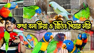 ব্রিডিং পিয়ার লরিকেট ও কথা বলা টিয়া দিচ্ছে আরিফ ভাই | Lorikeet Bird Pri'ce | Mirpur 1 Pakhir hat