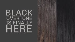 how to apply Rich Black oVertone