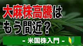 大麻株高騰はもう間近？｜米国株入門【海外株投資チャンネル】