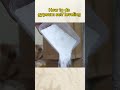 shorts how to do gypsum self leveling