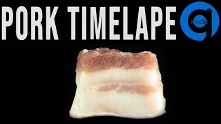 Pork Time Lapse  - Rotting Time Lapse