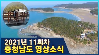 2021년 11회 충청남도영상소식