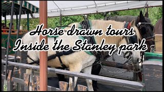 Horse drawn tours, Enjoyed the Scenery