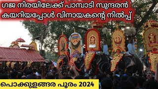 നിരയിൽ സുന്ദരൻ ആന കയറിയപ്പോൾ വിനായകന്റെ അന്യായ നിലവ് 🔥 പൊക്കുളങ്ങര പൂരം 2024 #venjamaram #pooram