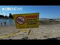 No-swimming advisories at 8 Metro Vancouver beaches