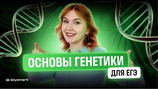 Основы генетики для ЕГЭ