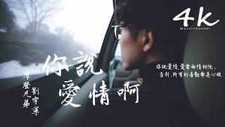 🎶摩登兄弟劉宇寧 - 你說愛情啊🎶【高音質|動態歌詞Lyrics】♫『你說愛情就像啊，滿載故事盛開的花。』《我的漂亮朋友》主題曲