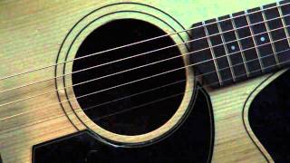 Guitar View com ColeClarkFL1vs MatonECW80C