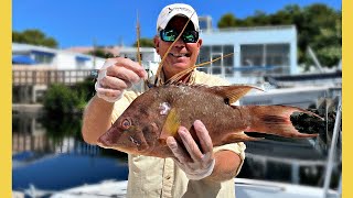 Spearfishing in Paradise: Florida Keys Hogfish | Catch and Cook