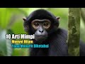 10 Arti Mimpi Monyet Hitam yang Menarik Diketahui