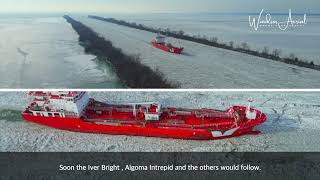 LAKE FREIGHTERS ICE JAM WITH CANADIAN COAST GUARD AND US COAST GUARD LAKE ERIE DEC 2022