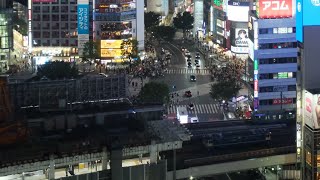 2023/07/16 単8923レ EF65-1115 東高島工臨牽引機返却回送