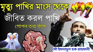 মৃত পাখির মাংস থেকে জীবিত করল পাখি গোপন তথ্য ফাঁস। মৌ ইমদাদুল হক রাহমানী সাহেব।