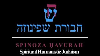 Spinoza Havurah - Nov. 9, 2024 Shabbat Morning - Parashah Lech Lecha