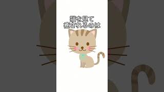 猫に関する雑学(1)[#猫に関する雑学#猫#雑学#雑学王#猫動画#豆知識]