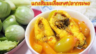 แกงส้มมะเขือเทศปลากระพง (Sour Soup with Tomato and Sea Bass) พร้อมสูตรพริกแกงส้มปักษ์ใต้พริกแกงตำเอง