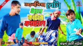 আলসিয়া বেটা ধান কাটার ক্যাচাল 🌽|| dhan kata new comedy video || #comedy #funny #youtube