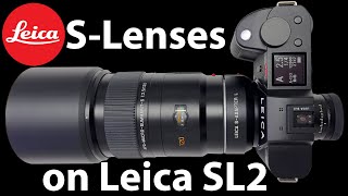 Leica-S Lenses on the Leica SL2 Part 1 : APO-Macro-Summarit-S 120mm f/2.5