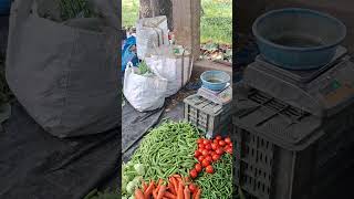 আজকে মাত্র 100 টাকাতে অনেক সবজি নিলাম #youtubeshorts #vegetable #vegetablemarket #viralvideo