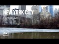 [4K] New York City 🗽 Winter Walk - Central Park with Rain [Feb. 2022]