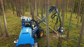 RM FOREST - Harvestor Rottne H8D