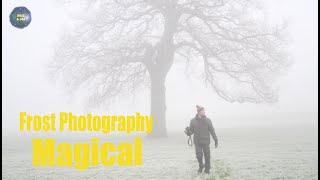 Magical Frost Photography