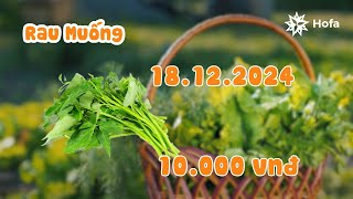 (18.12.2024) Giá NÔNG SẢN và THỰC PHẨM hôm nay!!!