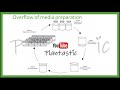 Plant Tissue Culture - Media Preparation (Murashige and Skoog 1962 medium)