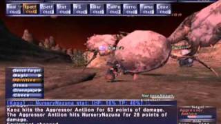 FFXI NM Saga #264: Aggressor Antlion vs BST solo [Full Battle]