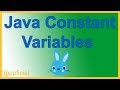Java Constants - Constant Variables using Keyword Final - Java Tutorial - Appficial