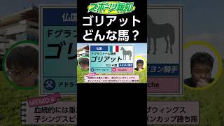 【ジャパンカップ2024】強豪外国馬・ゴリアット徹底分析その①！武豊＆ドウデュースは勝てるのか？