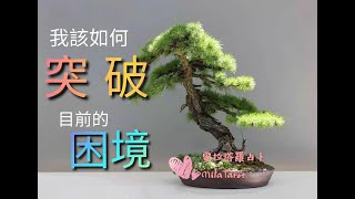 【塔羅占卜🌈】這件事怎麼成功？我該如何突破困境呢🤷?目前的卡關可以怎麼解決?🔑了解你的內在小孩都在這期哦！🤹