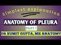 ANATOMY OF PLEURA : Part 1/2