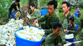 Npawg Tsu Wb Lov Ntsuag Xyoob | The two brothers went to pick bamboo shoots