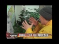 20130122 首爾佛光山歡慶法寶節 舉行紀念法會