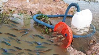 Unique Fish Trapping System Using Long Pipe & Big Plastic Bottle By Smart Boy | Hunting n Traps