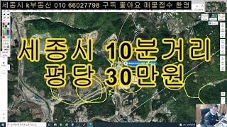 세종시 10분거리 평당30만원 투자최고 농막 주말농장