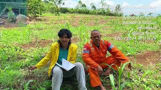 Tugas budidaya tanaman pangan utama