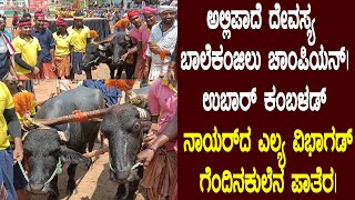 ಅಲ್ಲಿಪಾದೆ ದೇವಸ್ಯ ಬಾಲೆಕಂಜಿಲು ಚಾಂಪಿಯನ್|ಉಬಾರ್ ಕಂಬಳಡ್ ನಾಯರ್ ದ ಎಲ್ಯ ವಿಭಾಗಡ್ ಗೆಂದಿನಕುಲೆನ ಪಾತೆರ|