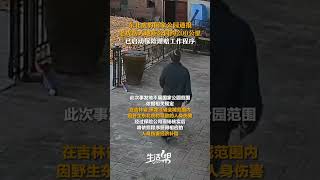 11月19日东北虎豹国家公园通报：老虎伤人地距公园约200公里。如确认为野生东北虎肇事，将立即启动保险理赔程序。