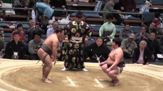 照強-岩崎/2017.3.17(29)/terutsuyoshi-iwasaki/day6 #sumo