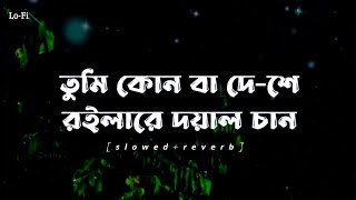 Doyal Tomaro Lagiya - দয়াল তোমারও লাগিয়া [Lo-fi] | Slow and Reverb | Lyrics