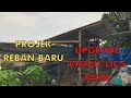 REBAN AYAM BERSISTEM || SESUAI UNTUK KEBUN ATAU TEPI RUMAH