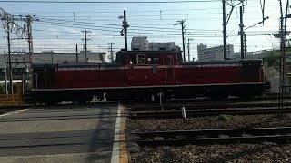 【ジョイント音が凄い！】2014.11.23東海道線貨物列車撮影記【DD51祭り！・ゼロロク2本あり】