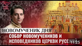 СОБОР НОВОМУЧЕНИКОВ И ИСПОВЕДНИКОВ ЦЕРКВИ РУССКОЙ ⧸   НОВОМУЧЕНИК ДНЯ