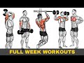 Full Week Gym Workout Plan | Week Schedule For Gym Workout | Zfworkout