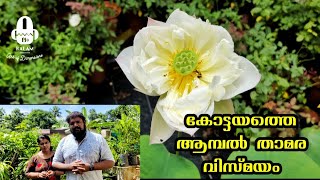 കോട്ടയത്തെ ആമ്പൽ താമര വിസ്മയം ഓപം നമ്മുടെ 3D Pots | KALAM 3D | EP - 08