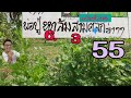 50 ของแท้ปริศนาเริงสาร ปริศนาแม่ตะเคียนทองนครสวรรค์ พืชผักสวนครัว