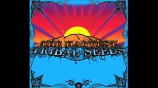 Tribal Seeds - The Harvest