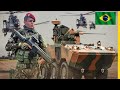 Review of All Brazilian Armed Forces Equipment / Quantity of All Equipment